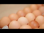AGRO INFO | 14.10.2025 | TV Republika
