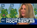 WETTERUMSCHWUNG IN DEUTSCHLAND: Kaltfront bringt Regen, Gewitter und deutliche Abkühlung!