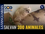 Rescatan a 300 animales de un criadero de Málaga y detienen a dos personas por maltrato animal