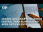 Senado acelera PEC do Banco Central para blindar o Pix após críticas estrangeiras
