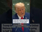 Trump tells United Nations members that their 'countries are going to hell' because of open borders