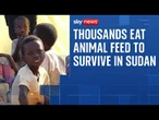 Besieged Sudanese city of one million people is being starved to death