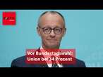 Umfrage: Union bei 34 Prozent, verliert aber Punkte - AfD profitiert und legt zu