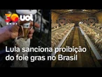 Comercialização de foie gras vira crime com pena de prisão no Brasil após nova lei