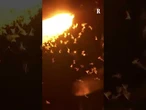A Budapest milioni di farfalline emergono dal Danubio: il fenomeno naturale del blooming