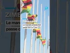 Au Zimbabwe, le mandat présidentiel passe de 5 à 7 ans • FRANCE 24