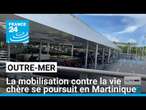 La mobilisation contre la vie chère se poursuit en Martinique • FRANCE 24