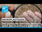 Des microplastiques se trouvent dans nos cerveaux, selon des chercheurs américains • FRANCE 24