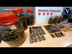 Los Mossos detienen a dos hermanos en Sant Joan Despí con 15 kilos de hachís y marihuana