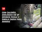 Com calorão, zoológico em SP oferece picolé e simula chuva para animais | CNN NOVO DIA