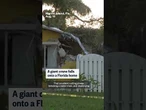 Giant crane falls onto Florida home