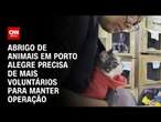 Abrigo de animais em Porto Alegre precisa de mais voluntários para manter operação | CNN PRIME TIME