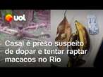 Macacos são dopados no Jardim Botânico do Rio; casal foi preso com calmante; veja vídeo