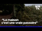 Pluie, rafales de vent, grêle: des orages ont éclaté de la Haute-Garonne à la Nièvre