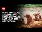 Análise: Associação vê Brasil preparado para lidar com gripe aviária | CNN 360º