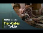 Tier-Cafés in Tokio | ARD Morgenmagazin