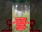 SZOK! Niemcy przerzucają migrantów przez las do Polski? Doniesienia z granicy!