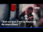Volé puis mangé, ce chien relance le débat sur la consommation de viande de chiens en ChinE