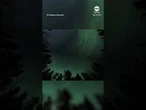 Aurora borealis dances across Canadian sky