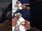 WATCH: Bomb squad blows things up in fireworks safety demonstration #shorts