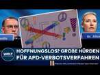 AFD-VERBOT: 800.000 Bürger unterstützen Antrag! Darum könnte ein Verbot aber nach hinten losgehen