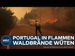 PORTUGAL: Waldbrände außer Kontrolle! Fünf Todesopfer | Tausende Feuerwehrleute weiter im Einsatz