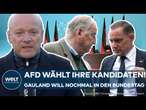 SACHSEN: AfD wählt Liste für Bundestagswahl! Alexander Gauland will's noch einmal wissen!