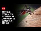 Governo federal vai intensificar campanha de combate à dengue | CNN PRIME TIME