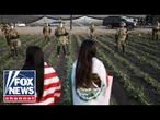 Border chief rips Dems' ICE resistance after pot farm raid: 'This is what you get!'
