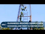 USA: Ukrainer holt Guiness-Weltrekord für gigantische Sonnenblume!