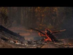Incendie dans le Var : plus de 2 700 hectares brûlés, 500 personnes évacuées