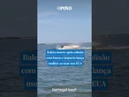 Baleia morre após colisão com barco e impacto lança mulher no mar nos EUA #shorts #usa #noticias