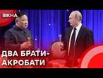 Війська КНДР в Україні: для ЧОГО це Путіну та ЯК зміниться СИТУАЦІЯ на фронті? РЕАКЦІЯ СВІТУ