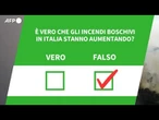 Ansa VERIFIED - E' vero che gli incendi boschivi in Italia stanno aumentando?