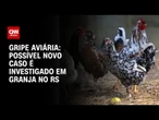 Gripe aviária: Governo investiga possível novo caso em granja comercial no RS | CNN 360º