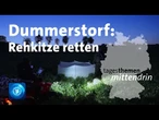 Dummerstorf: Rettung von Rehkitzen | tagesthemen mittendrin