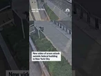 New video of arson attack outside federal building in New York City