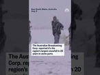 Kangaroo hops through rare snowball in southeast Australia