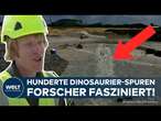 ENGLAND: Sensationeller Dinosaurier-Fund - Hunderte Fußabdrücke in Steinbruch entdeckt!