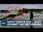 WAL-DRAMA: Mecklenburg-Vorpommern fordert 140.000 Euro! Timmy ist tot – jetzt kommt die Rechnung