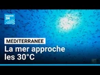 La Méditerranée approche les 30°C, une vague de chaleur marine inédite • FRANCE 24
