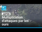 Japon : de plus en plus, les ours attaquent même dans les villes • FRANCE 24
