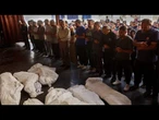 Gazastreifen: Palästinenser melden Dutzende Tote – Israel genehmigt Hilfslieferungen
