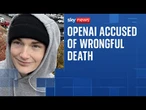 ChatGPT owner OpenAI sued by family of teen who took his own life