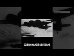 Dokumenty o dziadku Tuska - archiwum Arlosen ujawnia nowe fakty