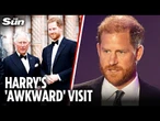 Inside Harry's meeting with the King that made him feel more like a 'formal visitor' than family