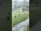 Aussies go bodyboarding during cyclone