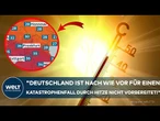 SOMMERHITZE AUSSER KONTROLLE: Experten warnen vor dramatischen Folgen der extremen Temperaturen!