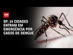 SP: 14 cidades entram em emergência por casos de dengue | CNN NOVO DIA