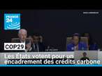 Cop29 : les États votent pour un encadrement des crédits carbone • FRANCE 24